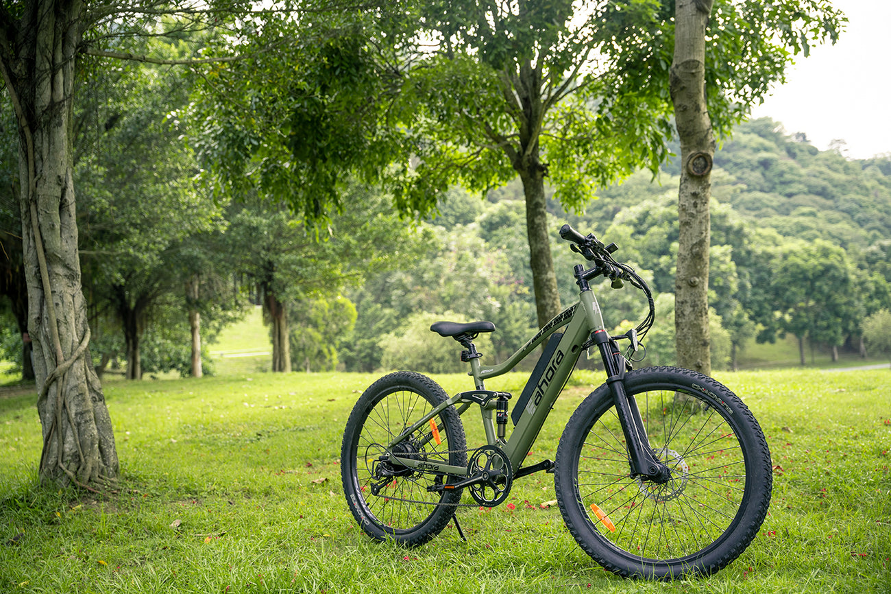 500W Electric Mountain Bike | Full Suspension Electric Mountain Bike | Eahora AM100
