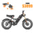 2,500W Dual-Motor