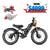 250W Dual-Motor